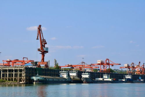 奮戰(zhàn)紅五月，瀘州水運(yùn)吹響發(fā)展進(jìn)軍號(hào) 碼頭建設(shè)與管理并舉，激活長(zhǎng)江上游黃金水道